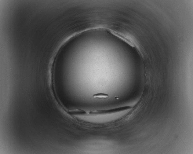 X0000089461151200706291457