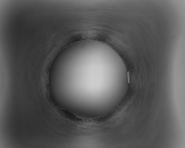 X0000089461153200706291456