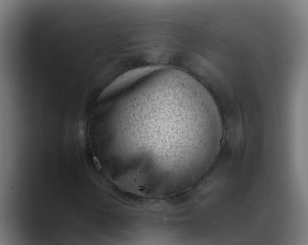 X0000089461154200706291456
