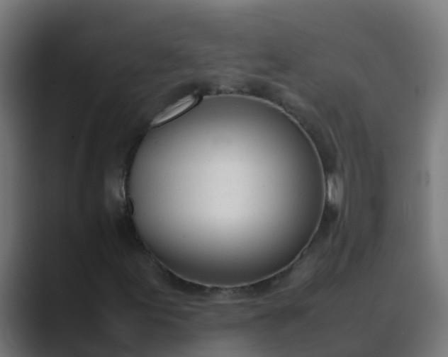 X0000089461155200706291456