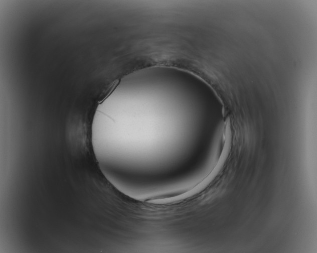 X0000089461156200706291456