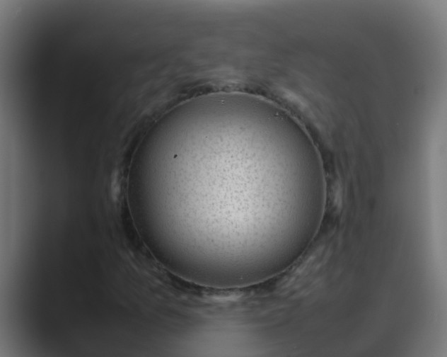 X0000089461157200706291456
