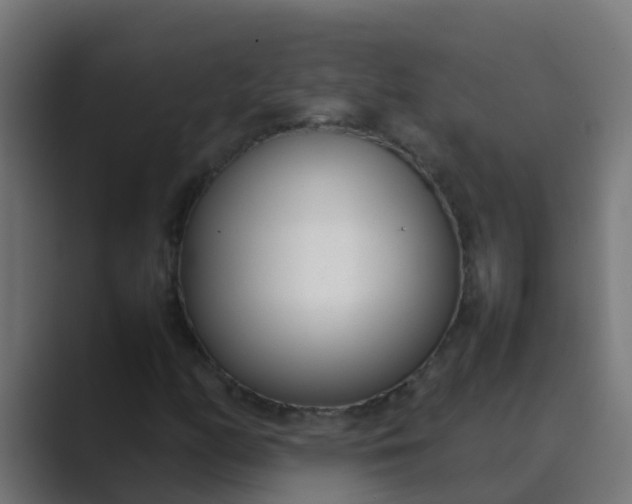X0000089461158200706291456