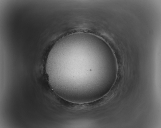 X0000089461159200706291456