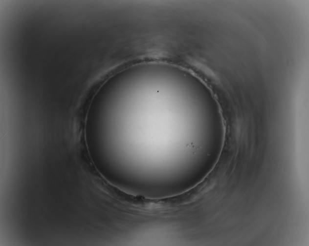 X0000089461160200706291456