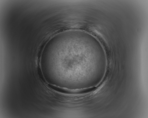 X0000089461161200706291456