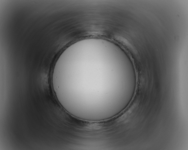 X0000089461162200706291456