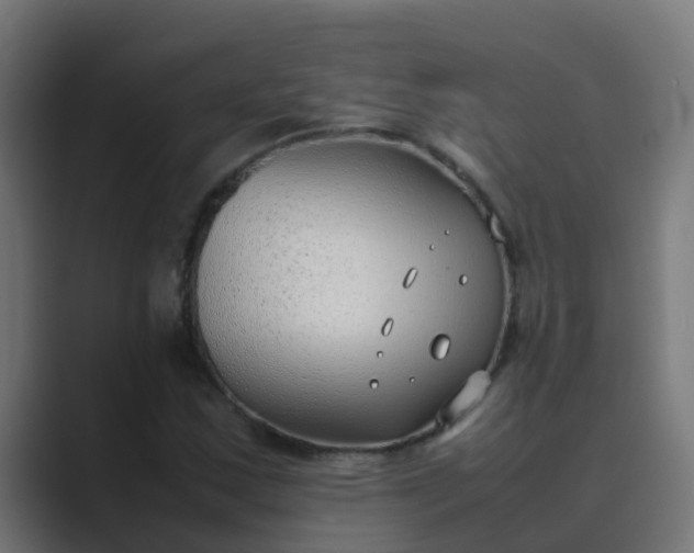 X0000089461163200706291456