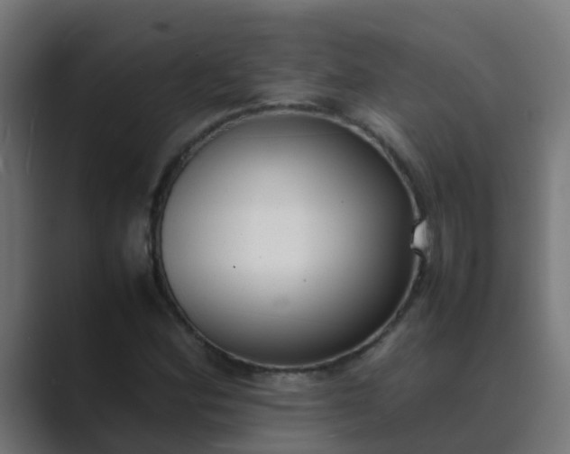 X0000089461164200706291456