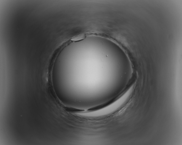 X0000089461165200706291456