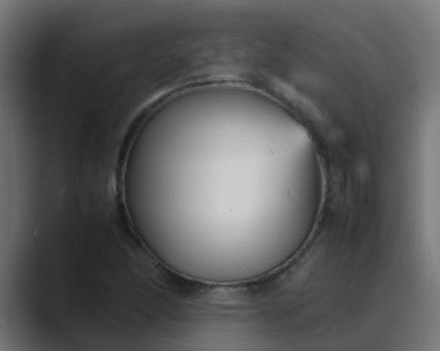 X0000089461166200706291456