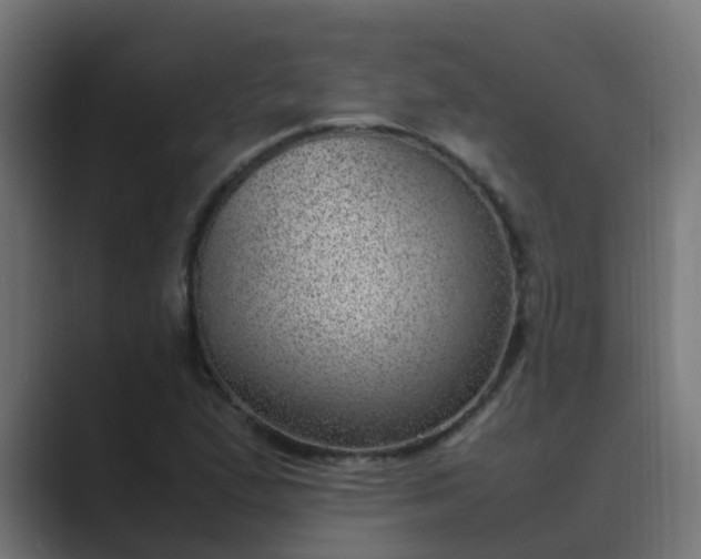 X0000089461167200706291456
