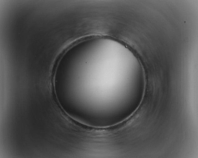 X0000089461168200706291456