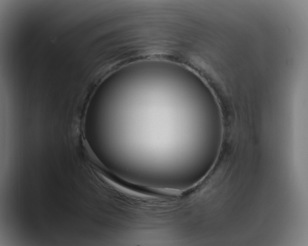 X0000089461169200706291456