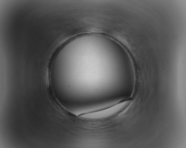 X0000089461171200706291456