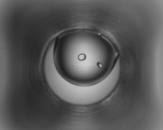 X0000089461172200706291456