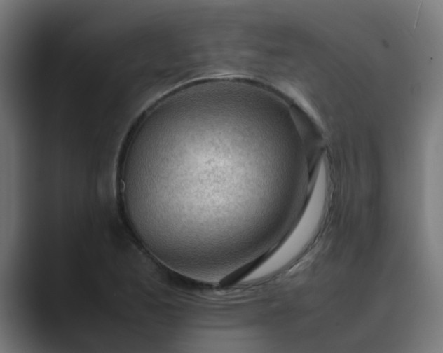 X0000089461173200706291456