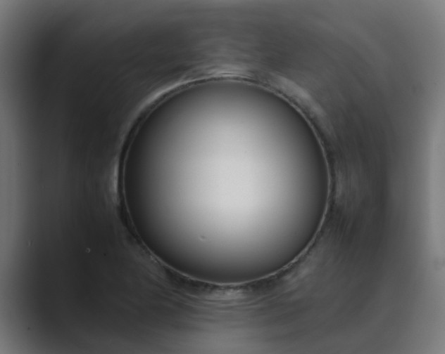 X0000089461174200706291456