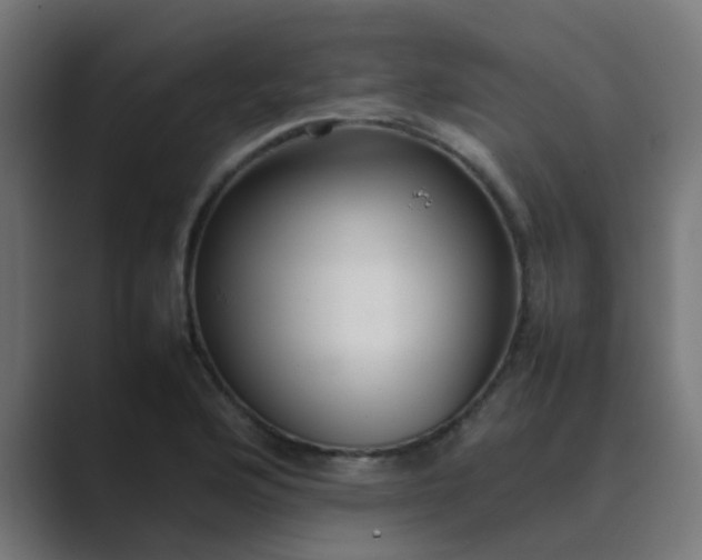 X0000089461176200706291456