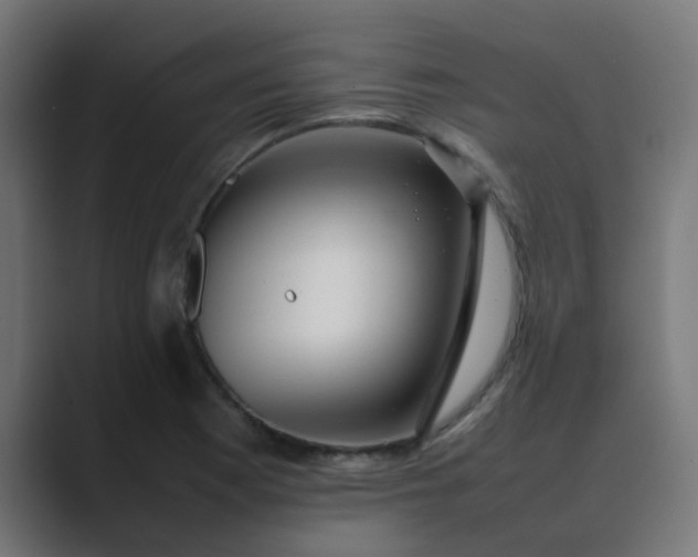 X0000089461177200706291456