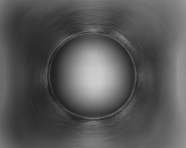 X0000089461178200706291456