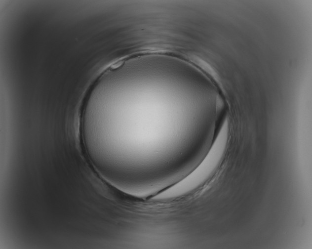 X0000089461179200706291456