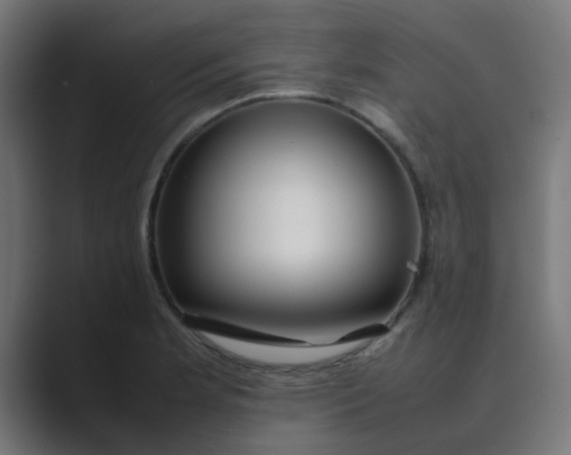 X0000089461181200706291456