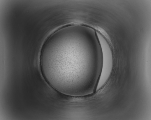 X0000089461183200706291456