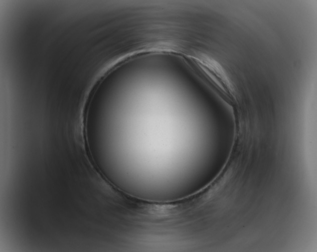 X0000089461184200706291456