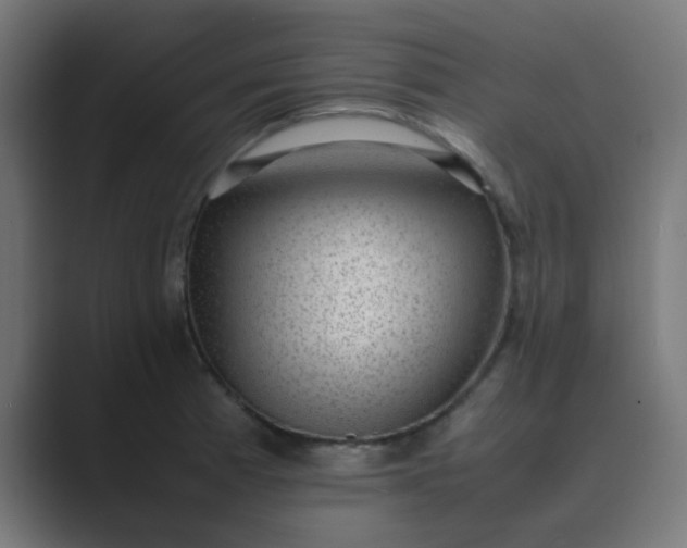 X0000089461185200706291456