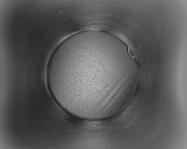 X0000089461187200706291456