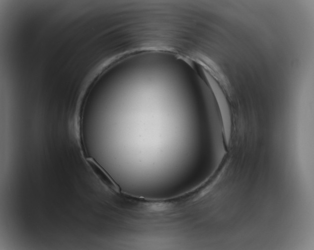 X0000089461188200706291456