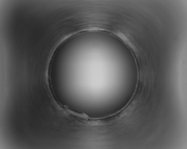 X0000089461189200706291456