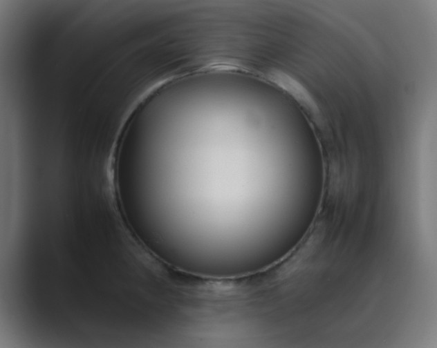X0000089461190200706291456