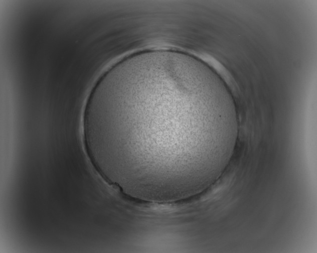 X0000089461191200706291456
