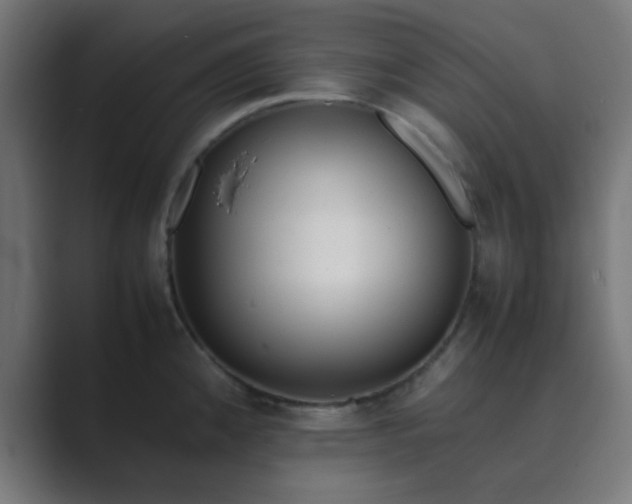 X0000089461192200706291456