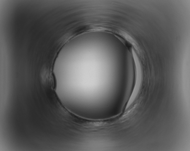 X0000089461193200706291456