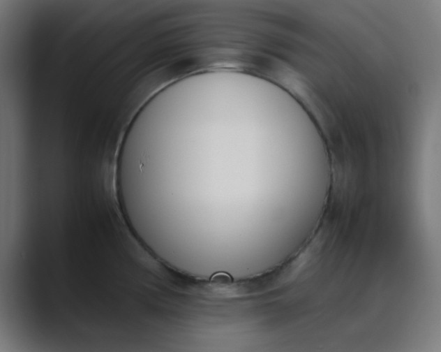 X0000089461194200706291455