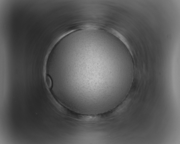 X0000089461195200706291455
