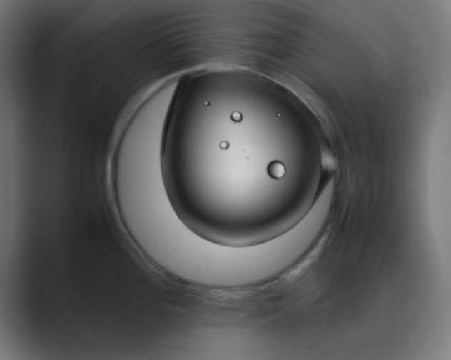 X0000089461196200706291455