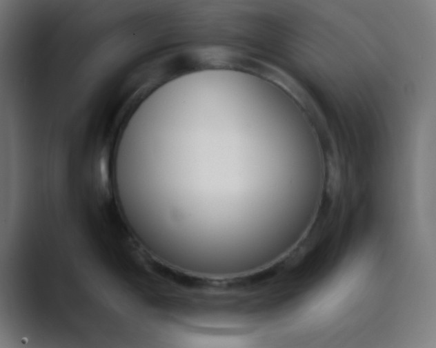 X0000089461198200706291455