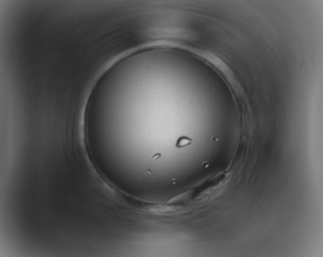 X0000089461199200706291455