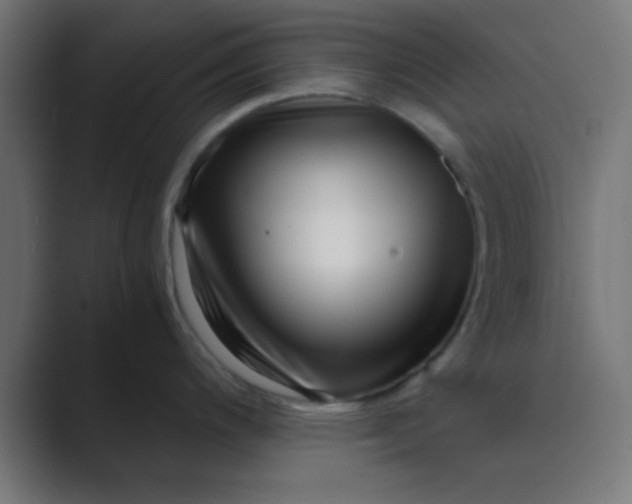 X0000089461200200706291455