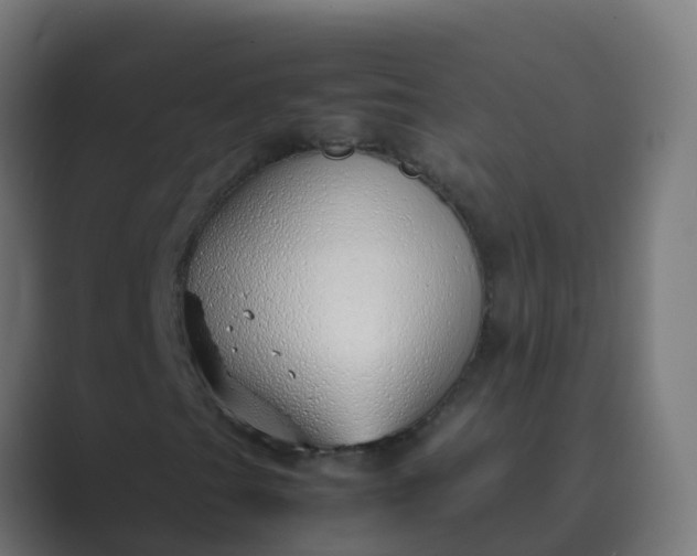 X0000089461201200706291455