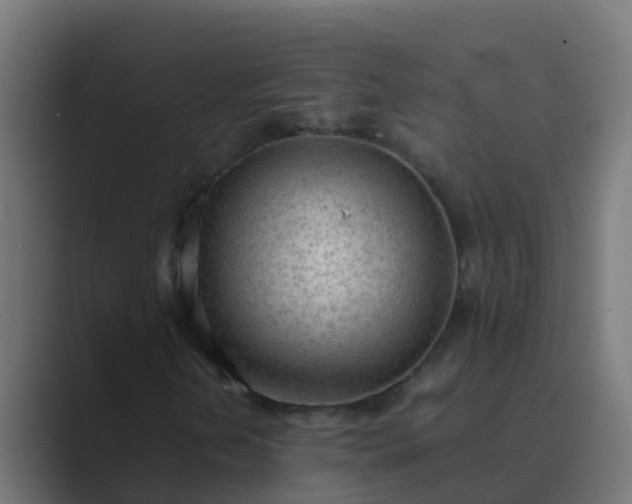 X0000089461202200706291455