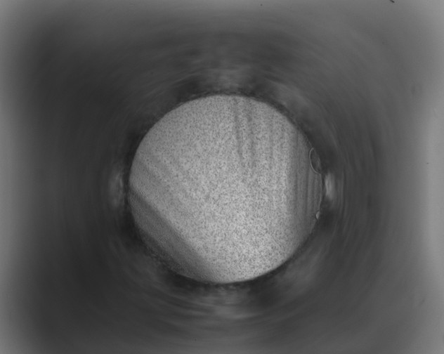 X0000089461203200706291455