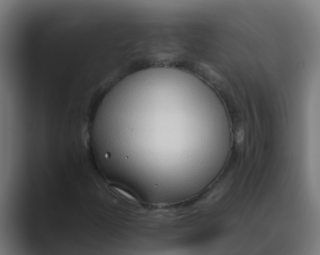 X0000089461204200706291455