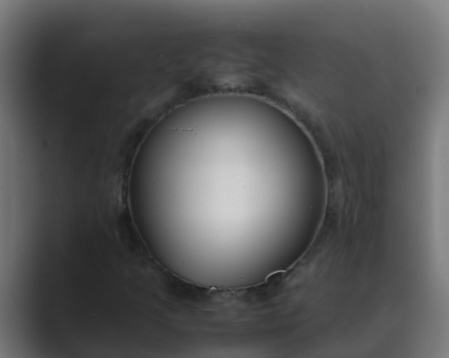 X0000089461205200706291455