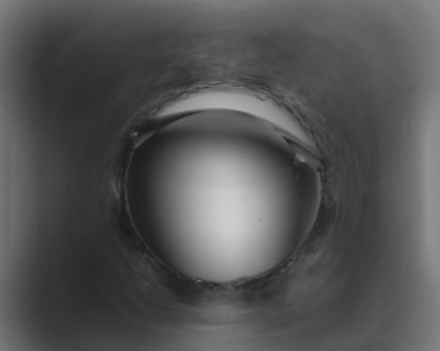 X0000089461206200706291455