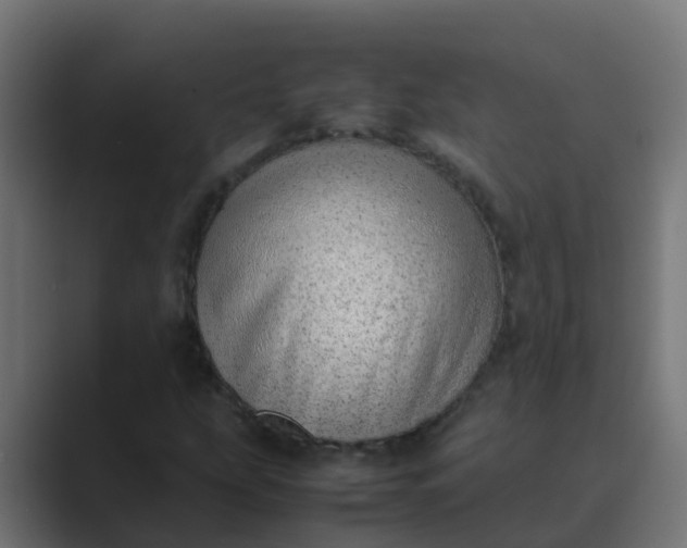 X0000089461207200706291455